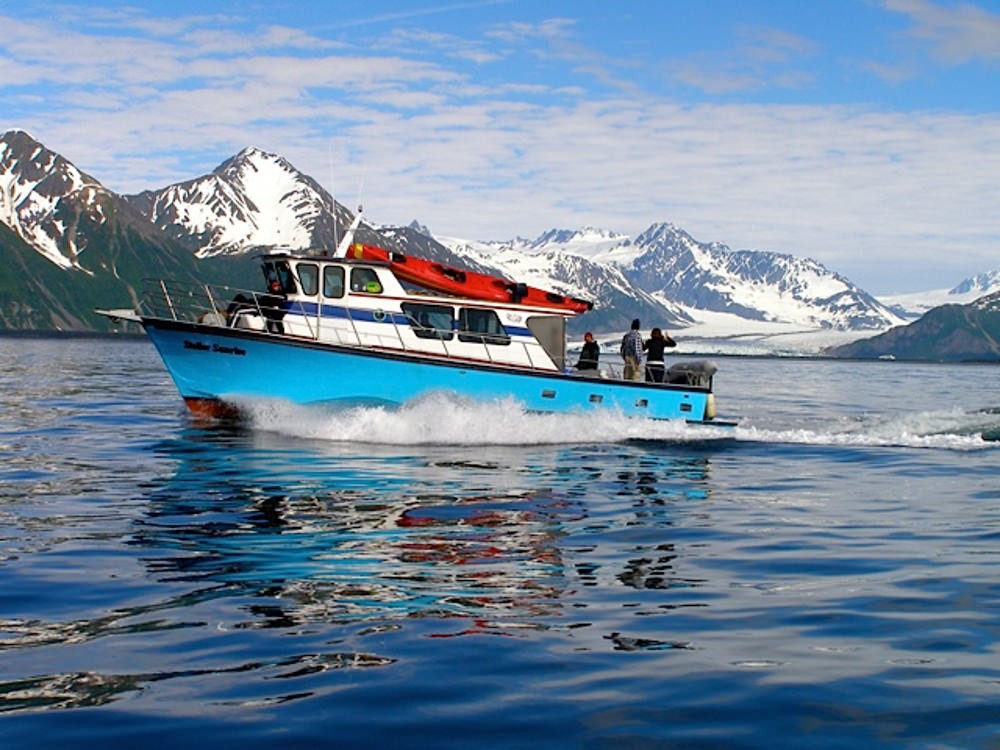 alaska saltwater tours